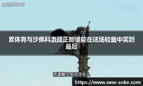 澳客官方网站